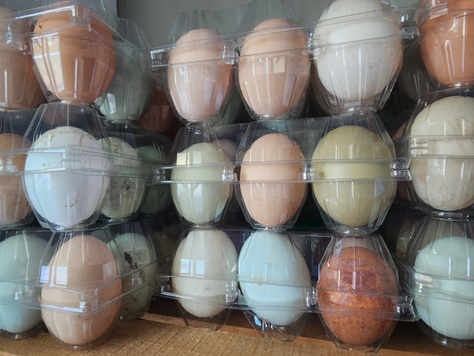 Chicken Eggs - One dozen multicolor